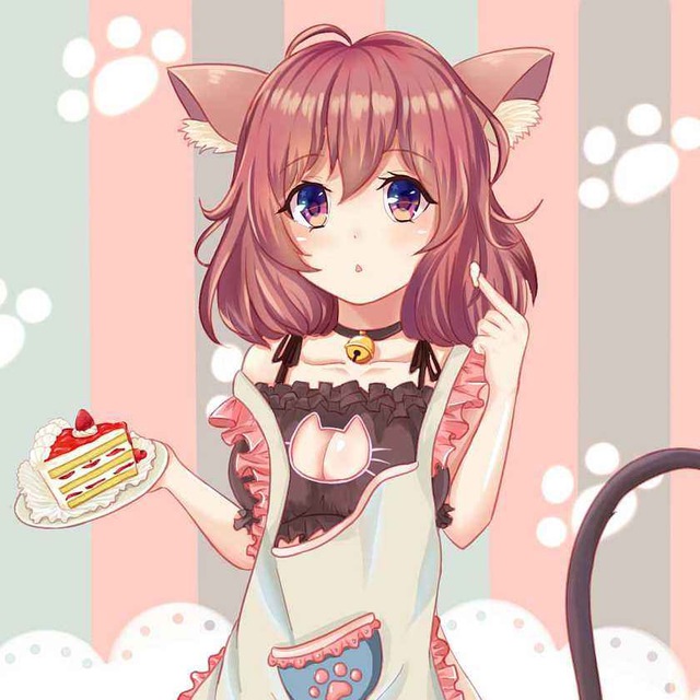 kitty 9元/月1000G流量 24/年 机场评测与入口